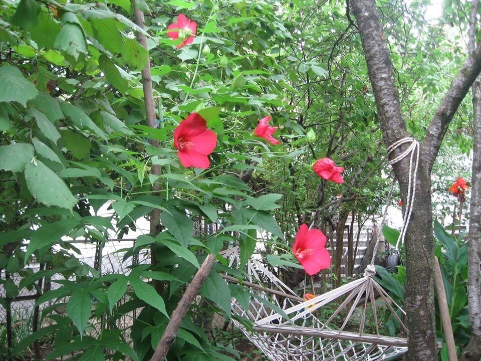 Хостелы Hostel Temuri Кутаиси-8