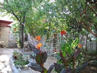 Хостелы Hostel Temuri Кутаиси Общий шестиместный номер для мужчин и женщин-1