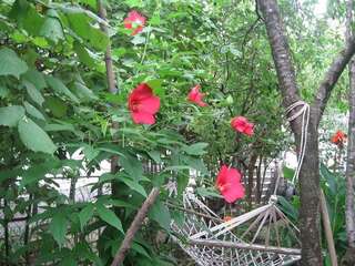 Хостелы Hostel Temuri Кутаиси-4